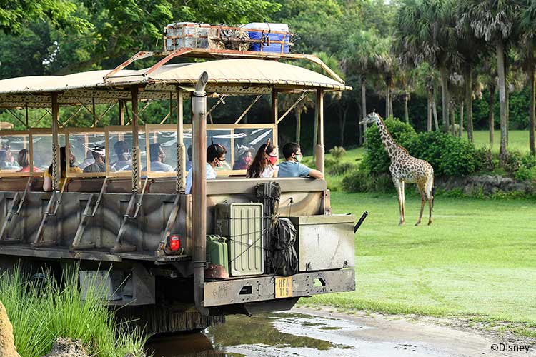 ディズニー アニマルキングダム 海外旅行 海外ツアー 航空券ならトラベルスタンダードジャパン