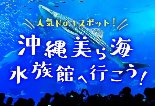沖縄美ら海水族館へ行こう！