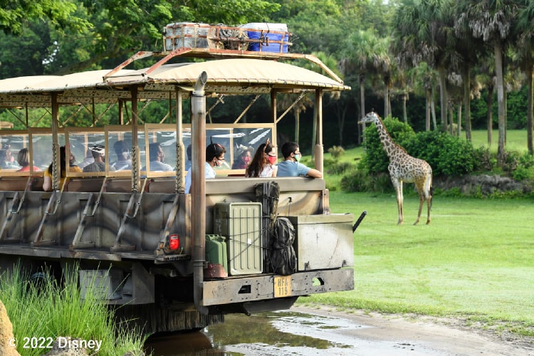 ディズニー アニマルキングダム 海外旅行 海外ツアー 国内旅行ならトラベルスタンダードジャパン