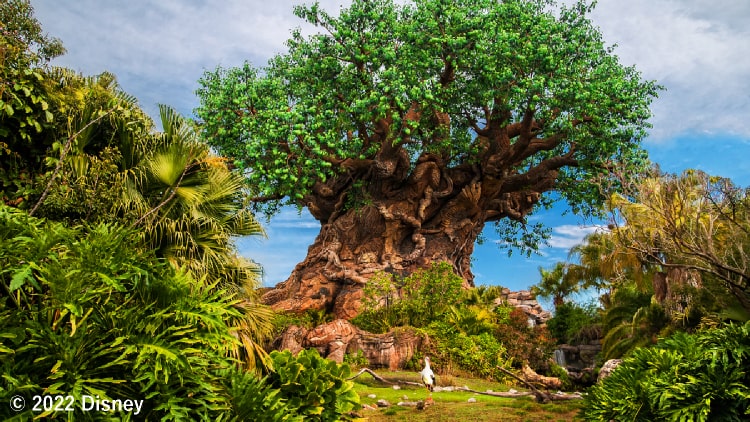 ディズニー アニマルキングダム 海外旅行 海外ツアー 国内旅行ならトラベルスタンダードジャパン