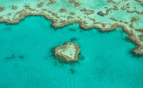 オーストラリアにあるハート型のサンゴ礁ハートリーフ