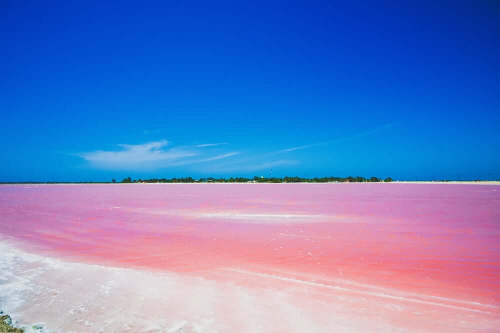 メキシコのピンクレイク