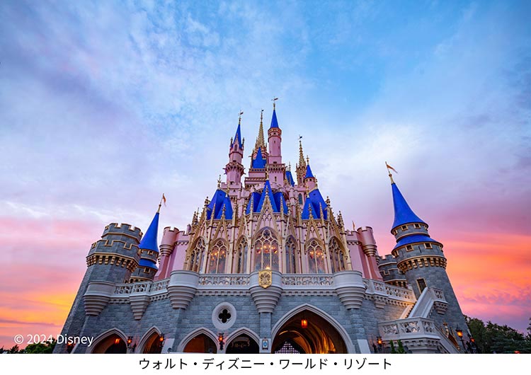 ディズニーワールド フロリダ ウォルト・ディズニー・ワールド・リゾート｜海外旅行・海外