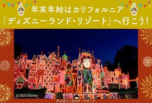 2025-2026アナハイム年末年始