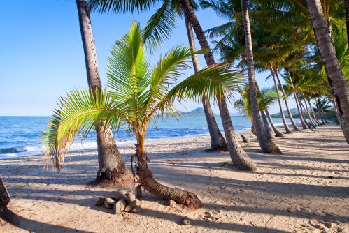 ケアンズ近郊にあるビーチ