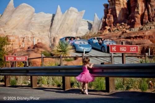 ラジエーター・スプリングス・レーサー