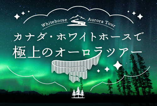 カナダ・ホワイトホース極上オーロラツアー