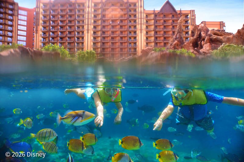 レインボー・リーフ