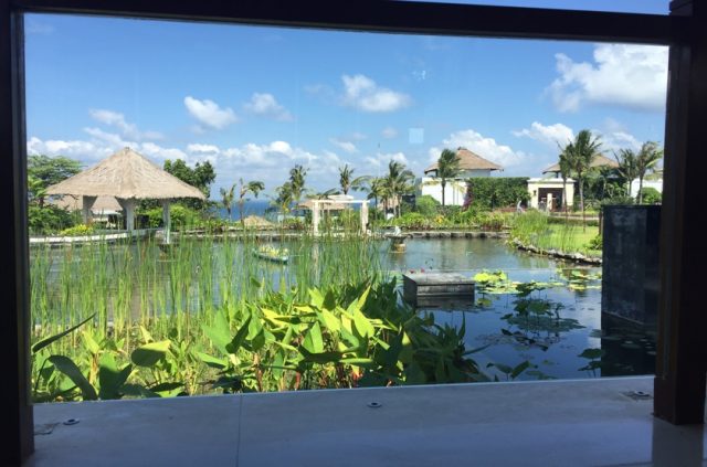 ホテルからのバリの眺め