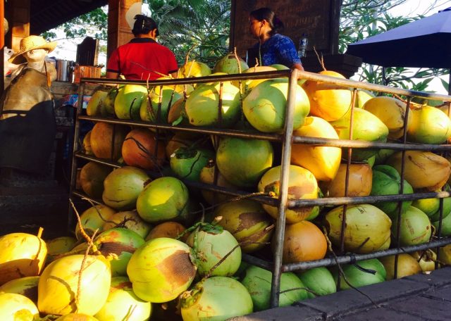 バリのココナッツ